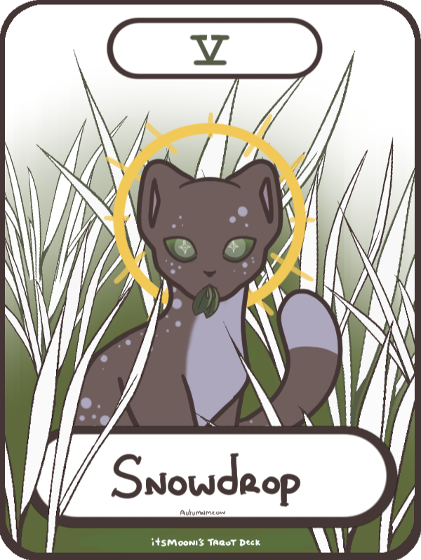 Tarot-card illustration with rectangles at top and bottom. In the top white rectangle, it reads the roman numeral sign for 5. In the bottom rectangle, it reads "Snowdrop." In the center of the card is a illustration of a cat with gray-brown fur sitting.