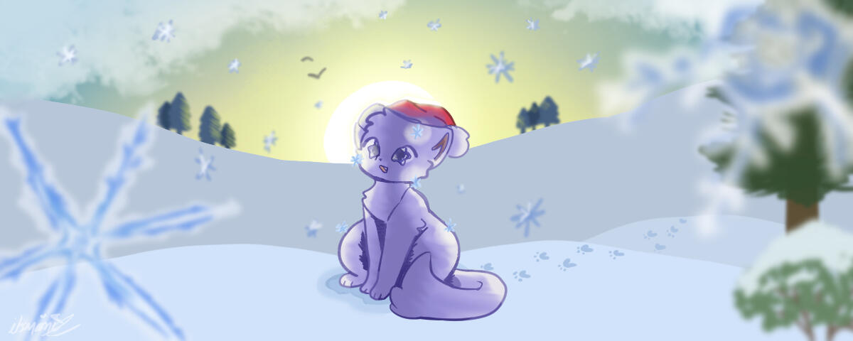 A white cat with an expression of amazement and wearing red christmas hat sitting in a wide scene of snow and trees. The sun rises behind, creating a darker shadow in front of the cat. In the corners of the image there are close-up snowflakes.