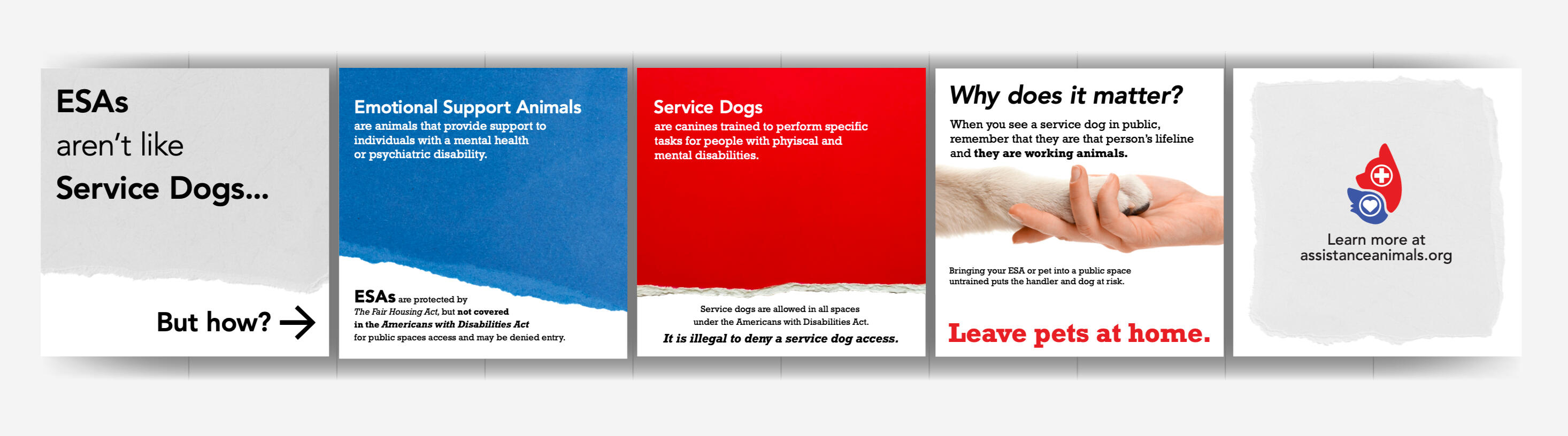 A multi-panel graphic distinguishing Emotional Support Animals (ESAs) from Service Dogs, using contrasting colors and text to highlight their differences, including legal protections and appropriate public access.