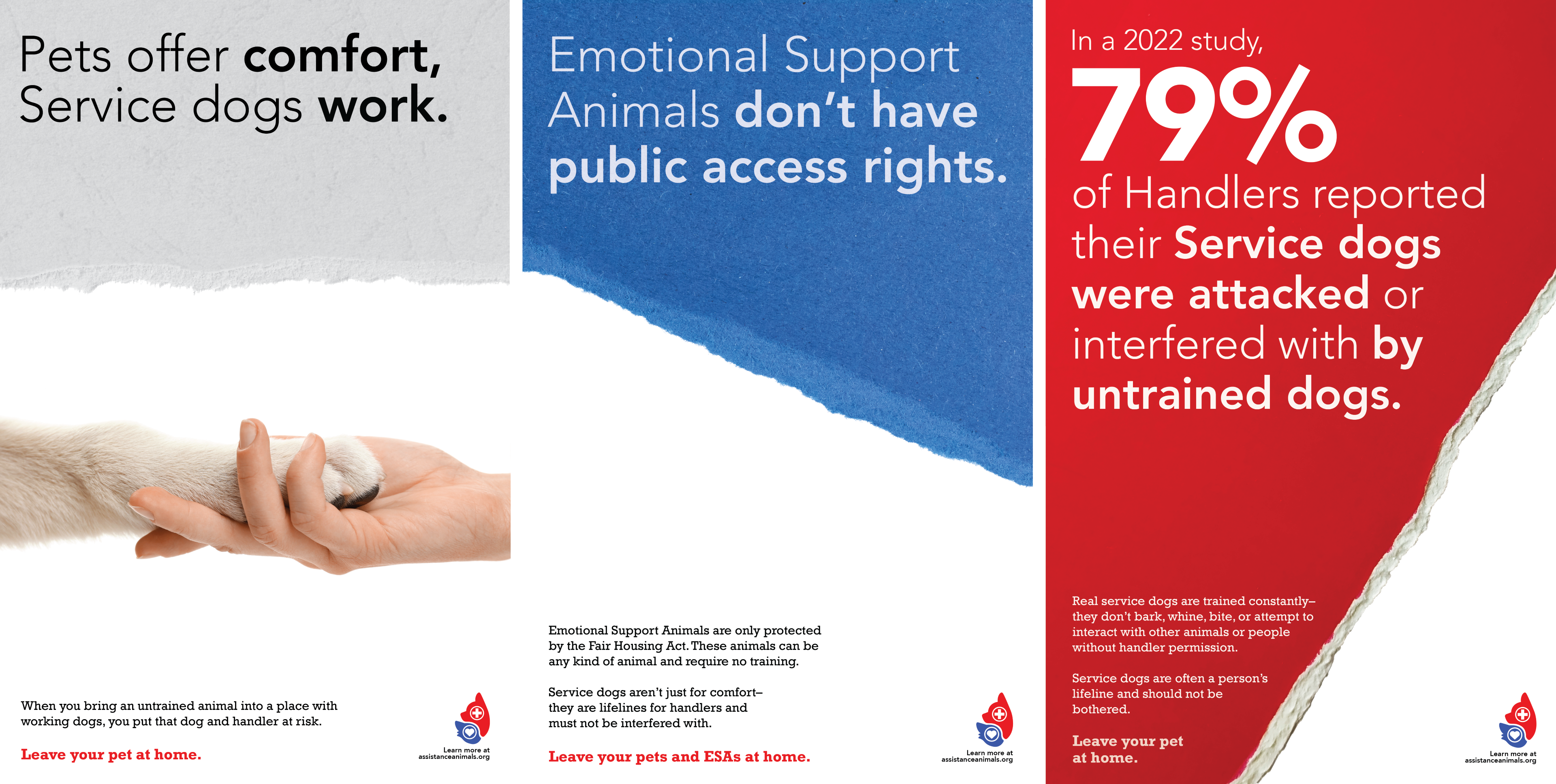 A three-panel infographic posters with a white background, divided by simulated torn paper edges. "Leave your pet at home." is the staple statement on each poster and the logo + website address are present in each panel.