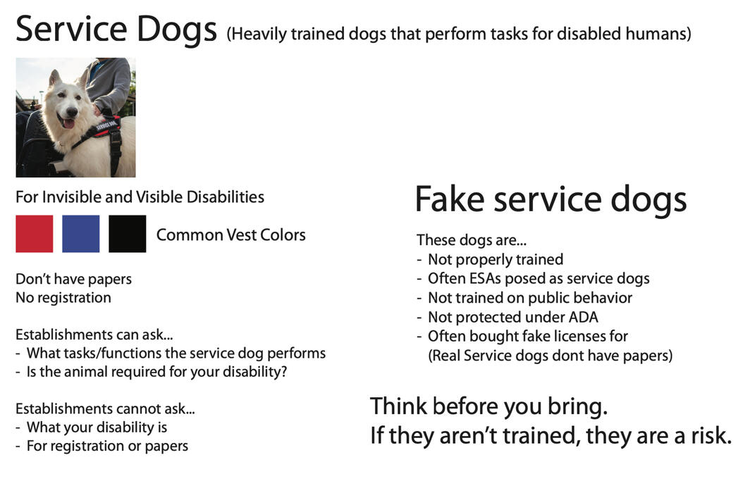 Educational Moodboard about service dogs and fake service dogs. The left side describes genuine service dogs with a photo of a white dog wearing a service dog vest, and information about disability access. The right side describes fake service dogs.