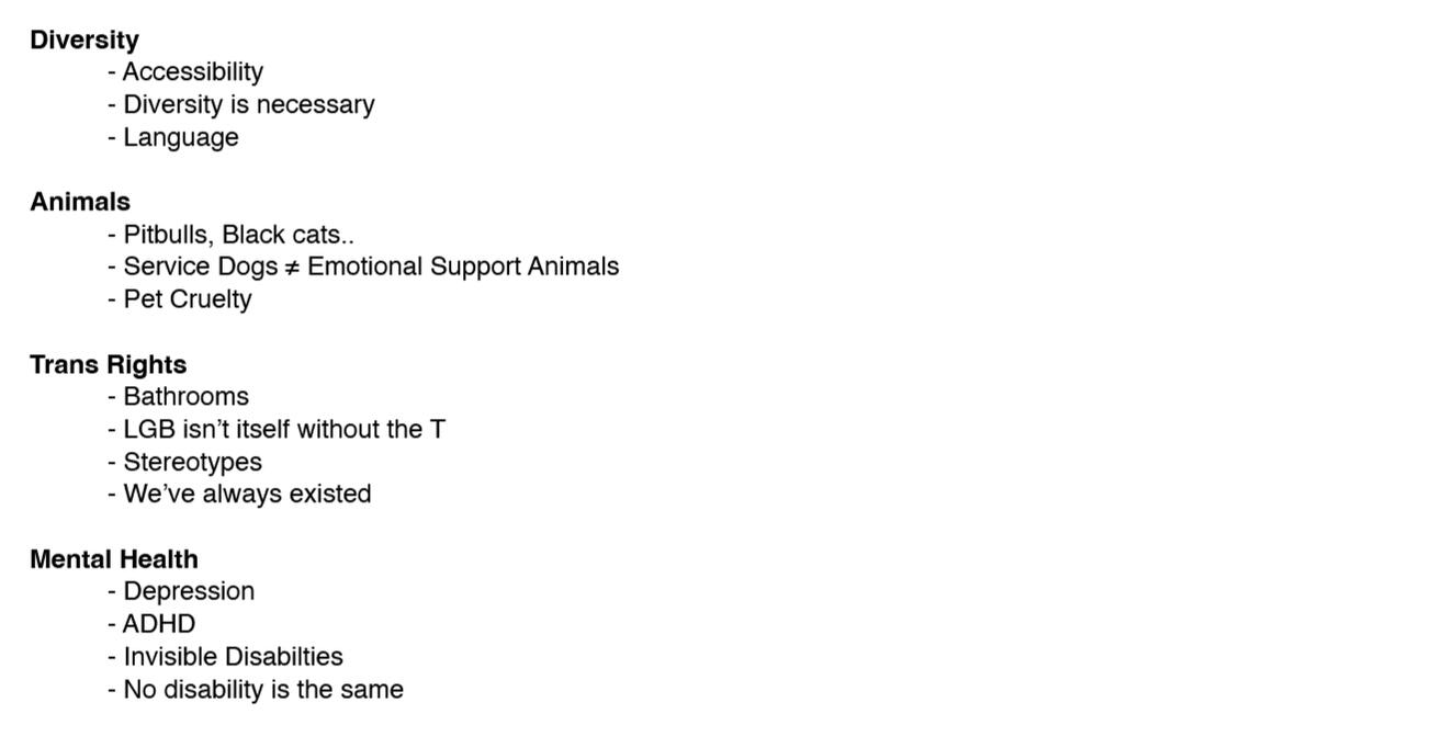 White background with black text listing topics and bullet points on ideas for call-to-action themes. List about Diversity, Animals, Trans Rights, and Mental Health, with associated subtopics.